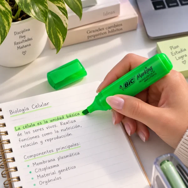 resaltador bic marking flat verde neon